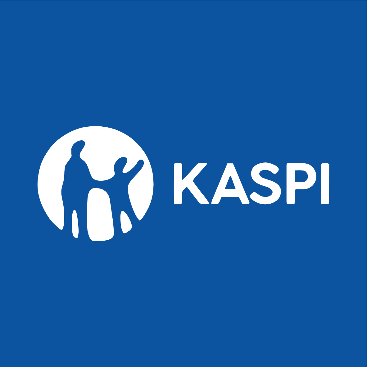 Kaspi.kz